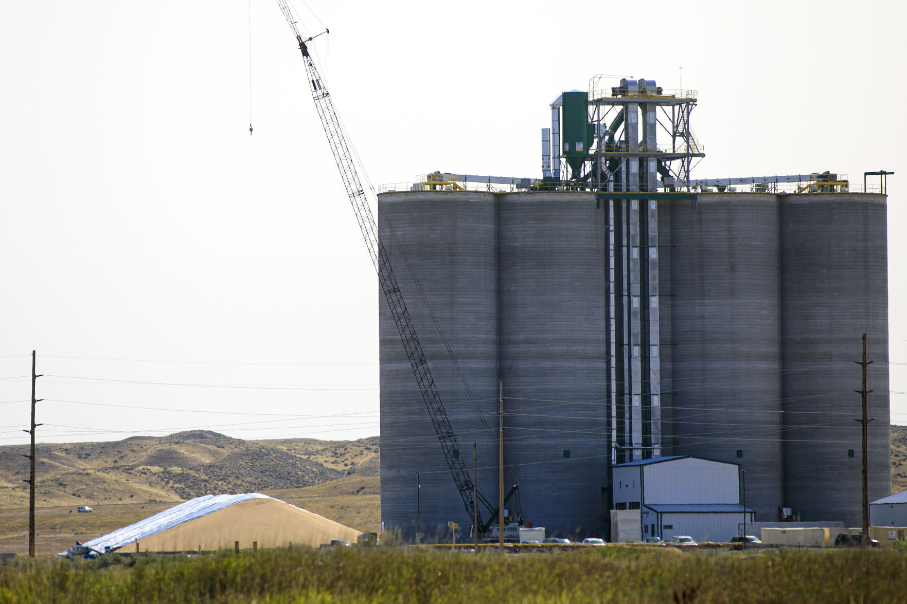 Gavilon Grain